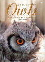 A Delight of Owls: African Owls Observed