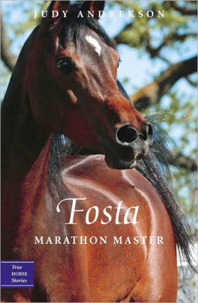 Fosta: Marathon Master