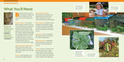 Alternative view 18 of How to Raise Monarch Butterflies: A Step-by-Step Guide for Kids