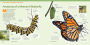 Alternative view 14 of How to Raise Monarch Butterflies: A Step-by-Step Guide for Kids