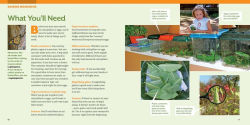 Alternative view 23 of How to Raise Monarch Butterflies: A Step-by-Step Guide for Kids