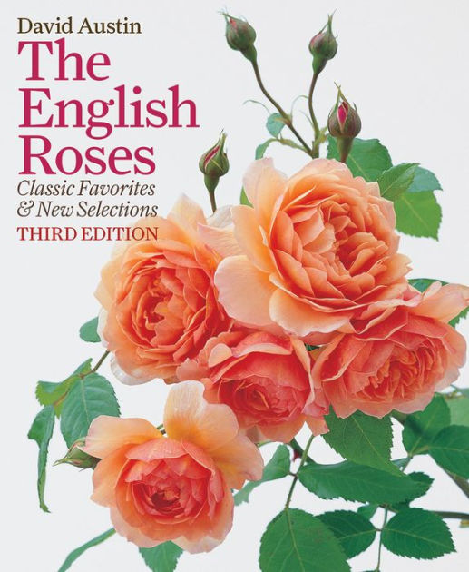 The English Roses Classic Favorites and New Selections by David Austin