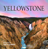 Title: Yellowstone, Author: Tracy Read