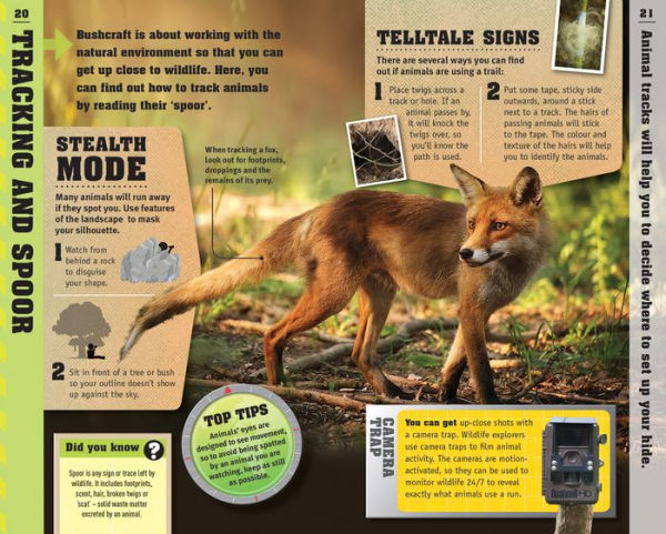 Wildlife Watcher Guide: Animal Tracking - Photography Skills - Fieldcraft - Safety - Footprint Indentification - Camera Traps - Making a Blind - Night-timeTracking