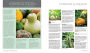 Alternative view 3 of The New Vegetables, Herbs and Fruit: An Illustrated Encyclopedia