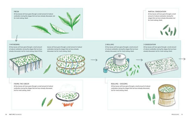 The World Atlas of Tea: From the Leaf to the Cup, the World's Teas Explored and Enjoyed