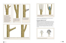 Alternative view 2 of The Tree Doctor: A Guide to Tree Care and Maintenance