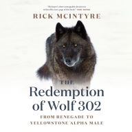 Title: The Redemption of Wolf 302: From Renegade to Yellowstone Alpha Male, Author: Rick McIntyre