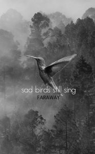 Download spanish books pdf Sad Birds Still Sing 9781771681834 MOBI PDB RTF by Faraway Poetry (English literature)