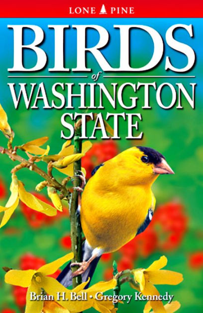 Birds of Washington State|Paperback