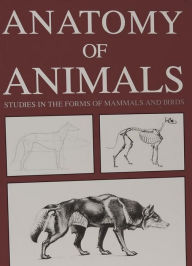 Title: Anatomy of Animals: Studies in the Forms of Mammals and Birds, Author: Ernest Thompson Seton