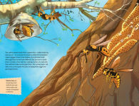 Alternative view 13 of The Bee Mother