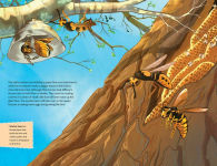 Alternative view 7 of The Bee Mother
