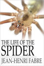 The Life of the Spider