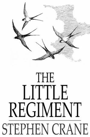 The Little Regiment, and Other Episodes of the American Civil War