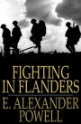 Fighting In Flanders