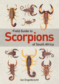 Title: Field Guide to Scorpions of South Africa, Author: Ian Engelbrecht