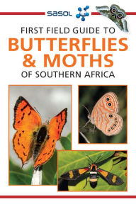 Title: First Field Guide to Butterflies & Moths, Author: Simon van Noort