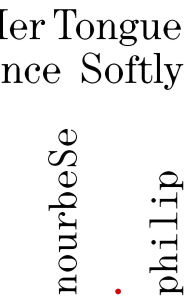 Title: She Tries Her Tongue - Her Silence Softly Breaks, Author: M. NourbeSe Philip