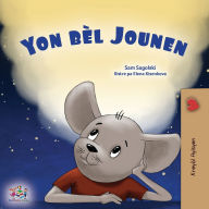 Title: A Wonderful Day (Haitian Creole Book for Children), Author: Sam Sagolski