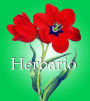 Herbario