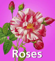Title: Roses, Author: Pierre-Joseph Redouté