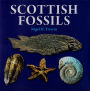 Scottish Fossils