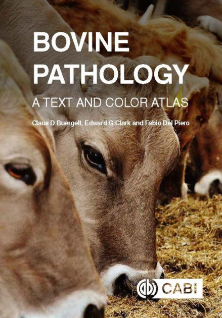 Bovine Pathology A Text And Color Atlas By Claus D Buergelt Edward G