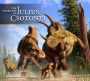 The Paleoart of Julius Csotonyi