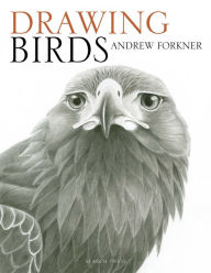Title: Drawing Birds, Author: Andrew Forkner