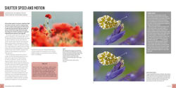 Alternative view 4 of Digital Macro & Close-up Photography: New Edition