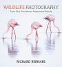 Wildlife Photography: An expert guide