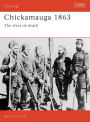 Alternative view 2 of Chickamauga 1863: The river of death