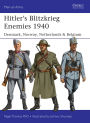 Hitler's Blitzkrieg Enemies 1940: Denmark, Norway, Netherlands & Belgium