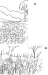 Alternative view 8 of Ready to Paint in 30 Minutes: Landscapes in Watercolour