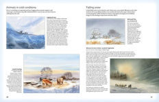 Alternative view 6 of David Bellamy's Complete Guide to Landscapes: Painting the natural world in watercolour