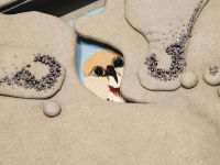 Alternative view 16 of Embroidered Birds and their Habitats: Hand embroidery techniques and inspiration