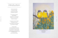Alternative view 4 of Embroidered Birds and their Habitats: Hand embroidery techniques and inspiration