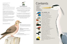 Alternative view 2 of A-Z of Bird Portraits: An illustrated guide to painting beautiful birds