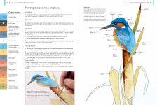 Alternative view 5 of A-Z of Bird Portraits: An illustrated guide to painting beautiful birds