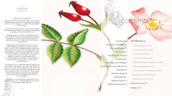 Alternative view 3 of Needlepainted Plants and Pollinators: An insect lover's guide to silk shading embroidery