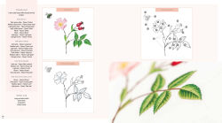 Alternative view 4 of Needlepainted Plants and Pollinators: An insect lover's guide to silk shading embroidery