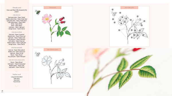 Needlepainted Plants and Pollinators: An insect lover's guide to silk shading embroidery