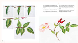 Alternative view 8 of Needlepainted Plants and Pollinators: An insect lover's guide to silk shading embroidery