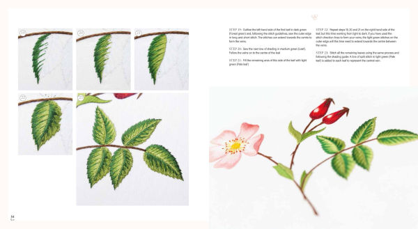 Needlepainted Plants and Pollinators: An insect lover's guide to silk shading embroidery