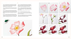 Alternative view 9 of Needlepainted Plants and Pollinators: An insect lover's guide to silk shading embroidery