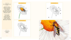 Alternative view 10 of Needlepainted Plants and Pollinators: An insect lover's guide to silk shading embroidery