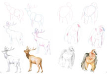 Alternative view 2 of How to Draw Mountain Animals in simple steps