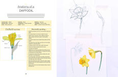Alternative view 3 of Botanical Watercolours through the Seasons: An all-year-round guide to painting flowers and plants