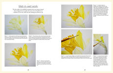 Alternative view 4 of Botanical Watercolours through the Seasons: An all-year-round guide to painting flowers and plants